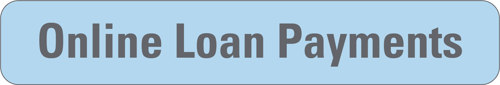 Online Loan Payments